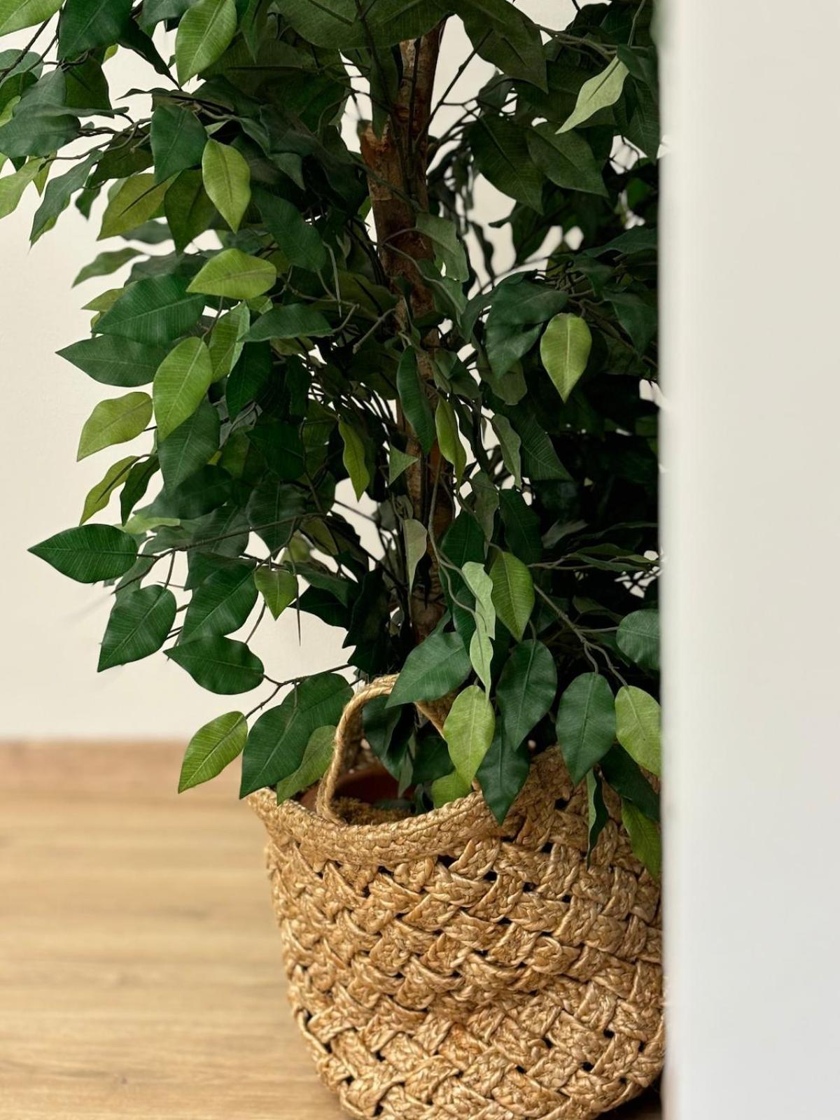 Apartment Dell'arte *